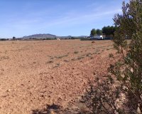 Resale - Plot / Land - Yecla