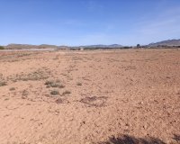 Resale - Plot / Land - Yecla