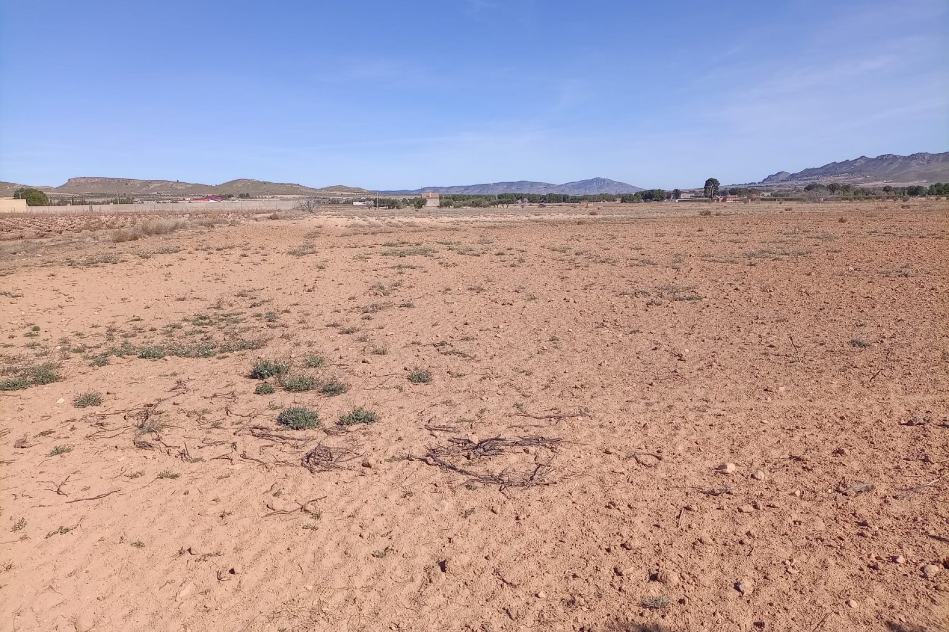 Resale - Plot / Land - Yecla