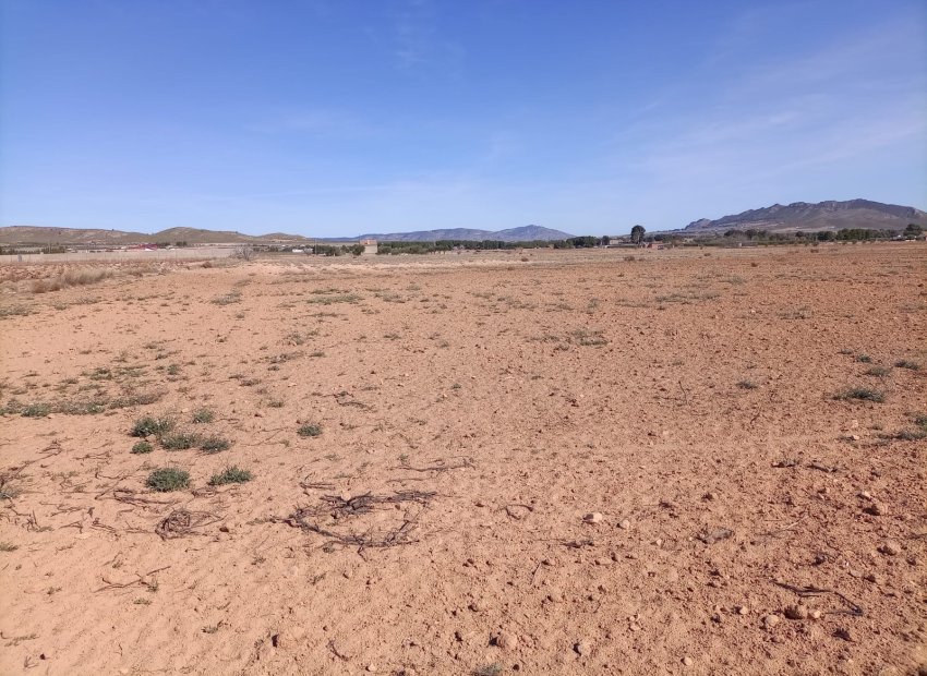 Resale - Plot / Land - Yecla