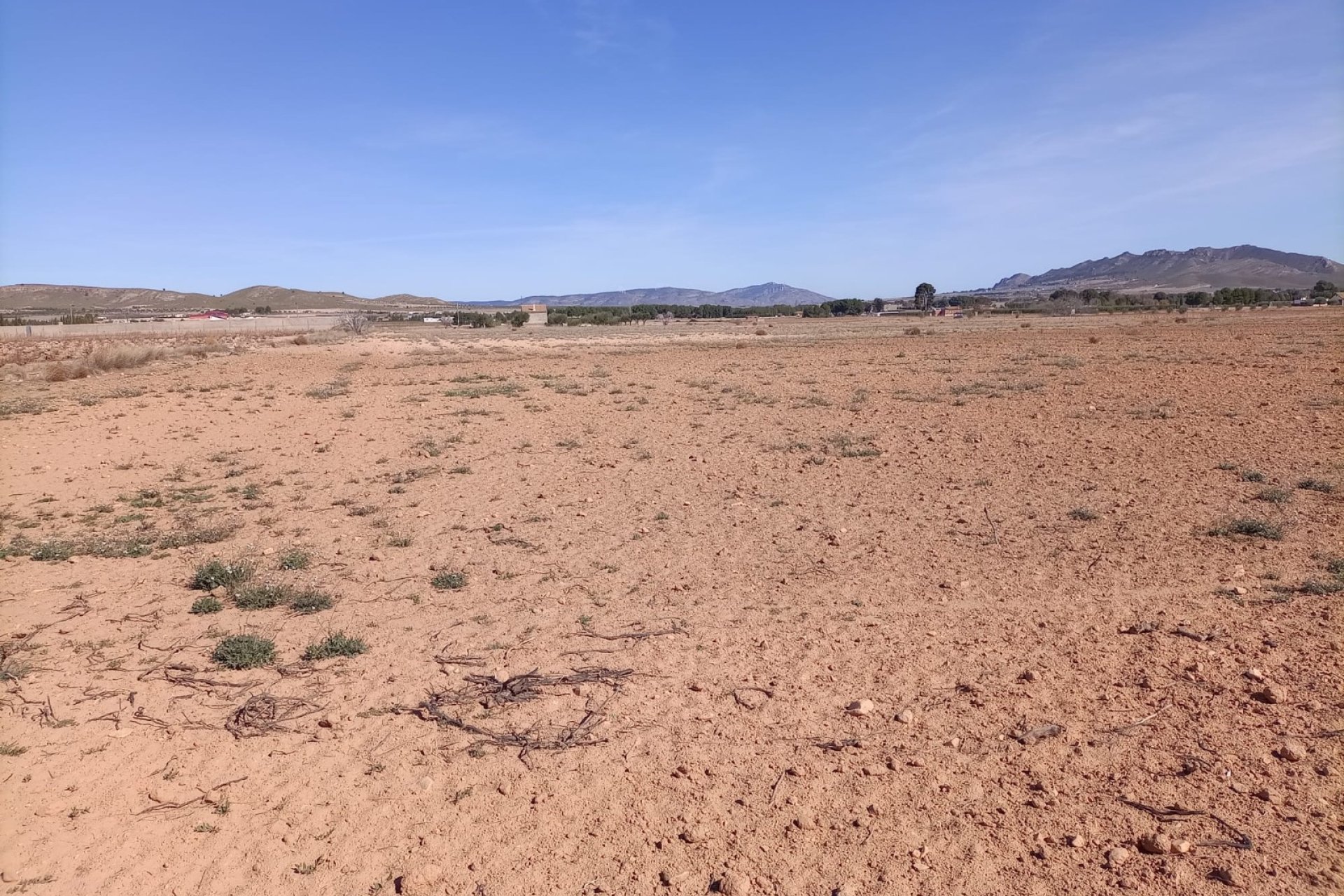 Resale - Plot / Land - Yecla