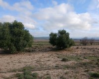 Resale - Plot / Land - Yecla