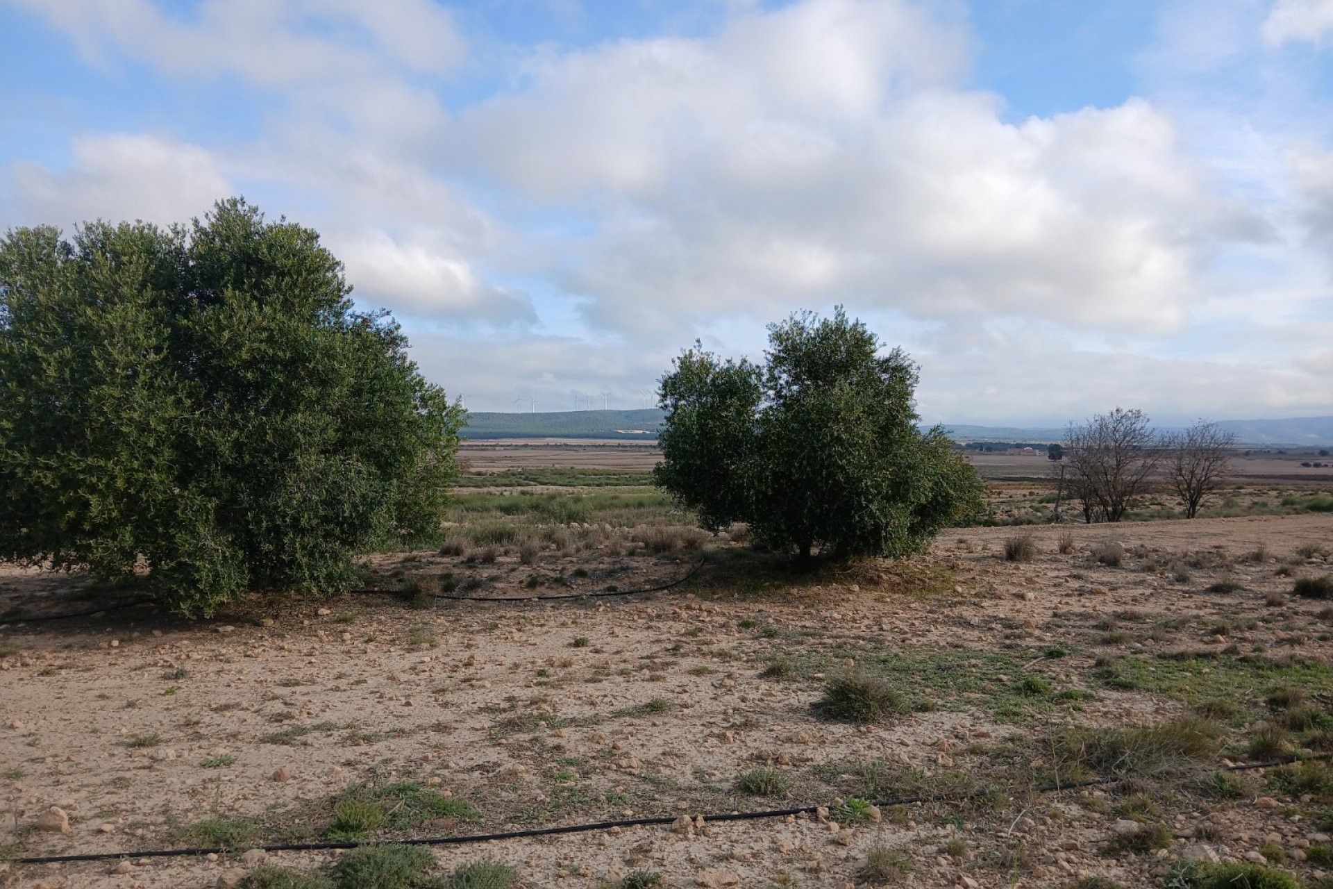 Resale - Plot / Land - Yecla