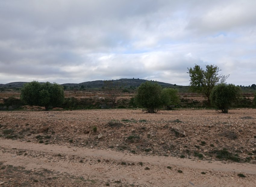 Resale - Plot / Land - Yecla