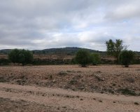 Resale - Plot / Land - Yecla