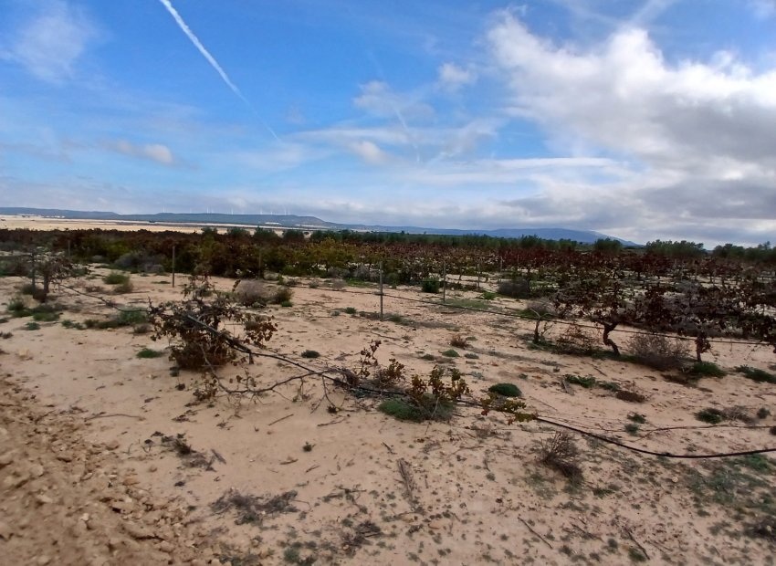 Resale - Plot / Land - Yecla