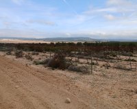 Resale - Plot / Land - Yecla