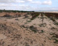 Resale - Plot / Land - Yecla