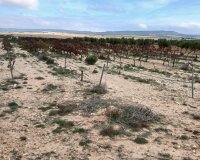 Resale - Plot / Land - Yecla