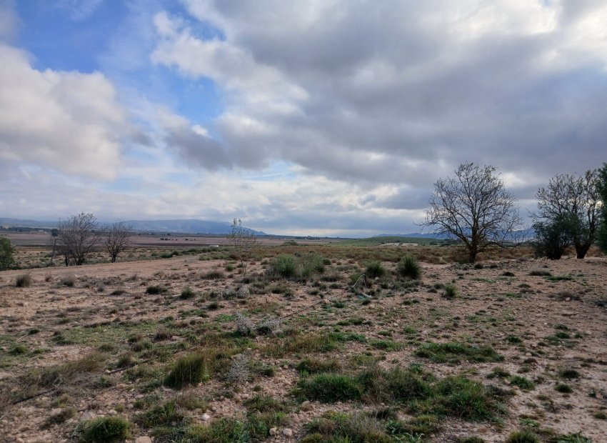 Resale - Plot / Land - Yecla