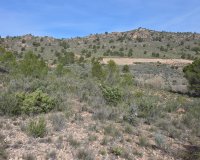 Resale - Plot / Land - Yecla