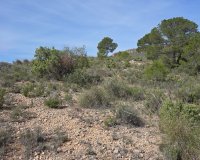 Resale - Plot / Land - Yecla