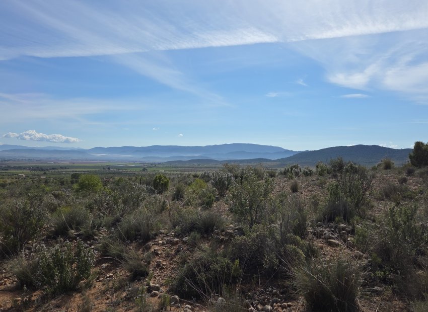 Resale - Plot / Land - Yecla