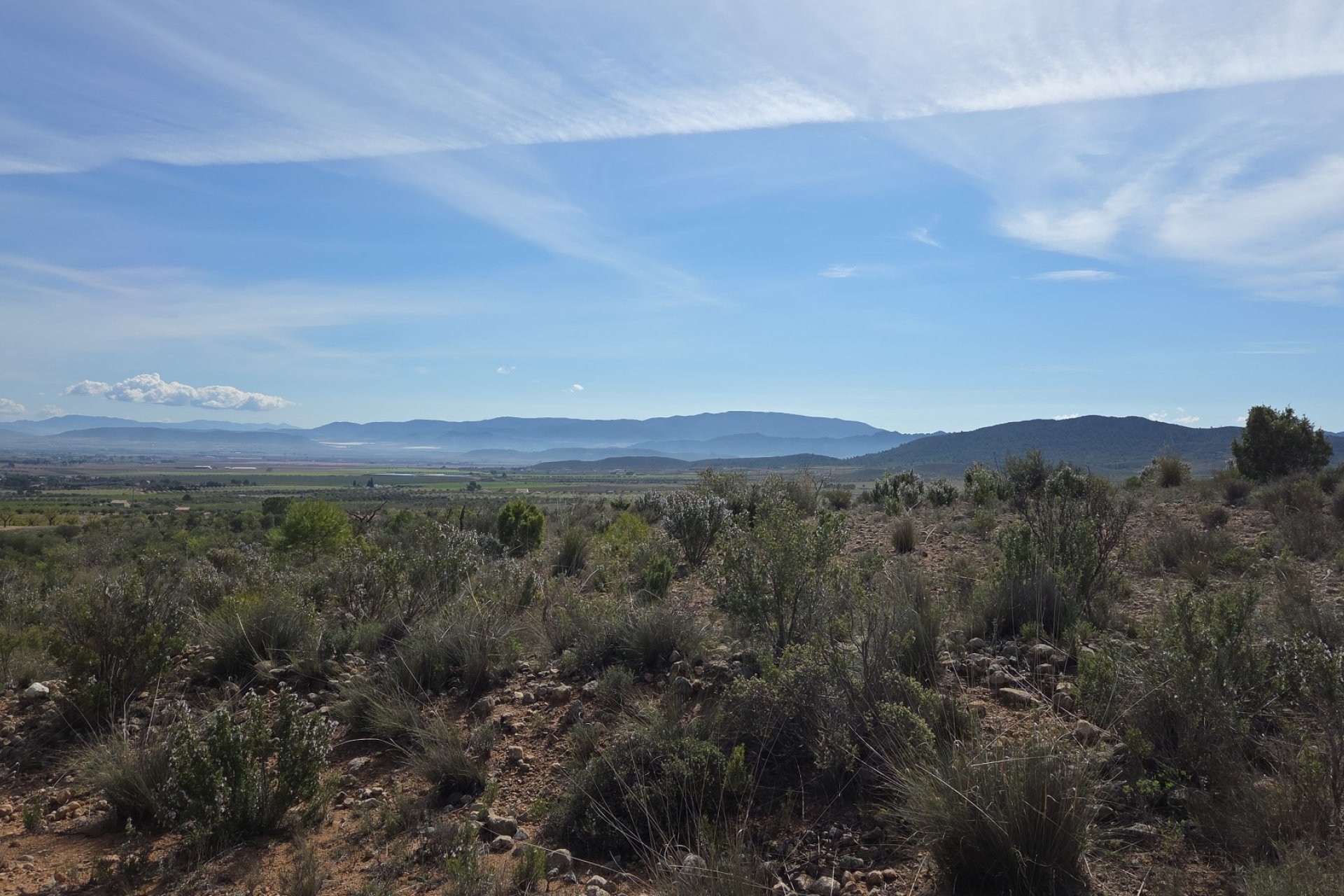 Resale - Plot / Land - Yecla