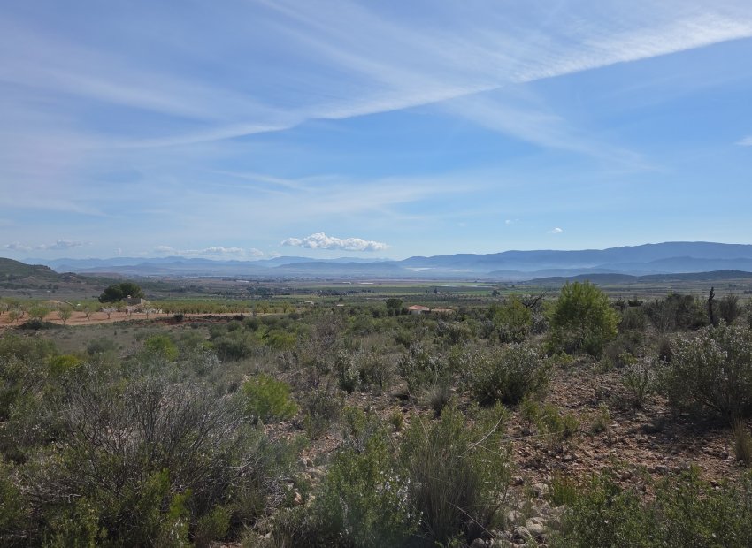 Resale - Plot / Land - Yecla