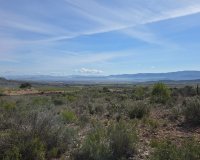 Resale - Plot / Land - Yecla