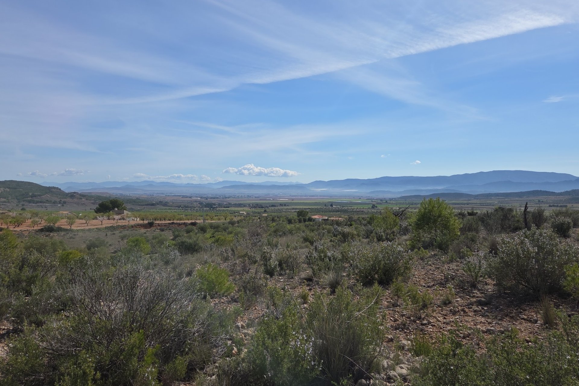 Resale - Plot / Land - Yecla
