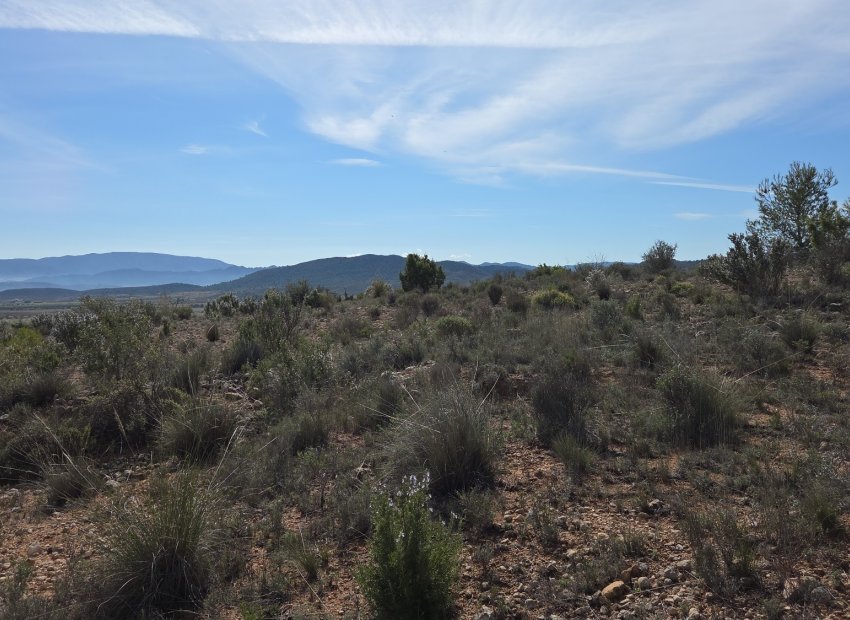 Resale - Plot / Land - Yecla