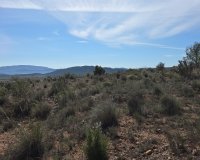 Resale - Plot / Land - Yecla