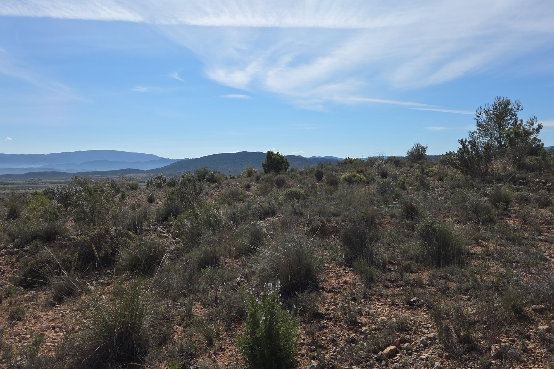 Resale - Plot / Land - Yecla