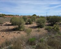 Resale - Plot / Land - Yecla