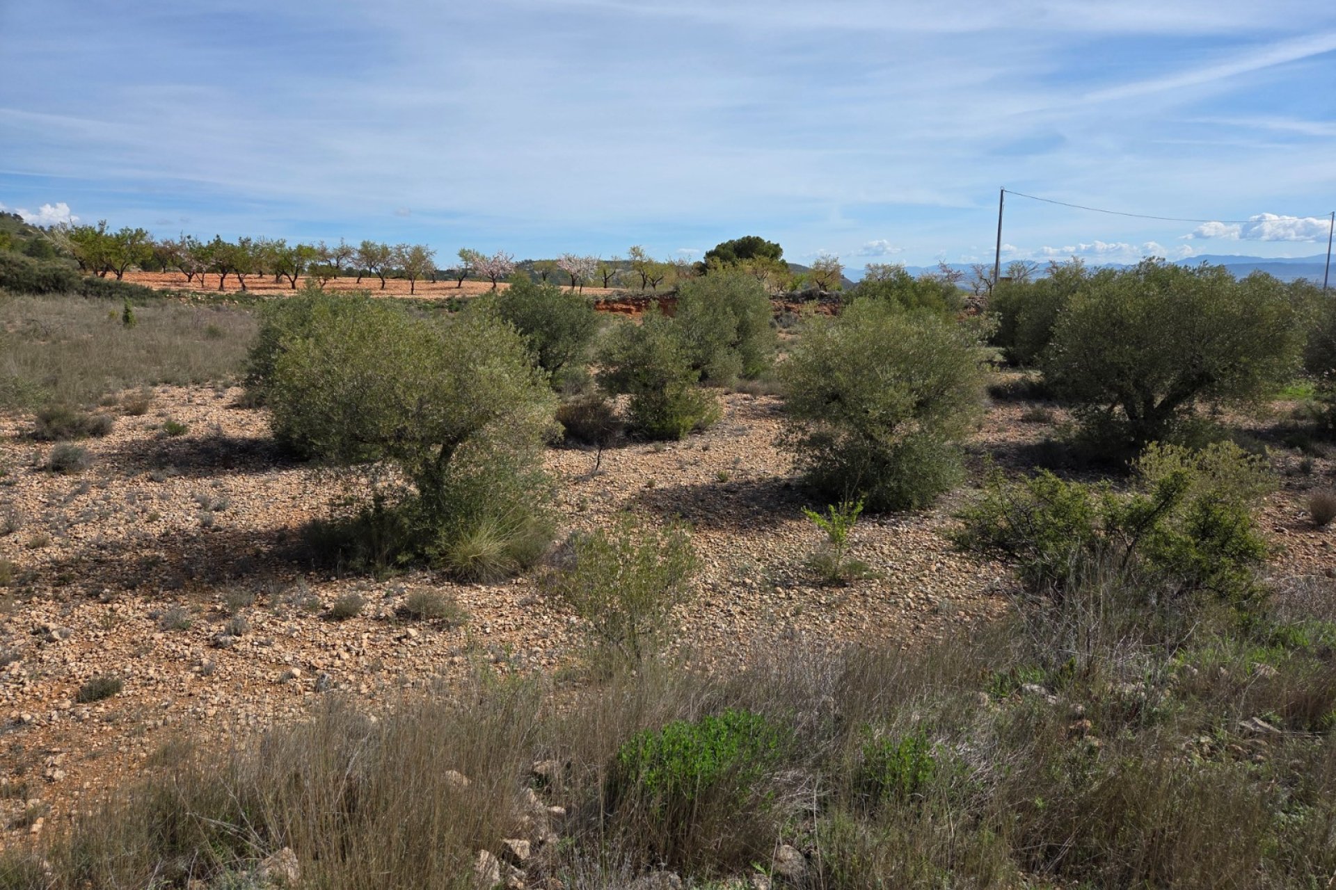 Resale - Plot / Land - Yecla