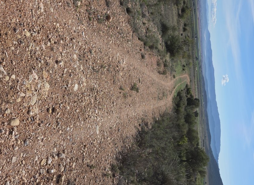 Resale - Plot / Land - Yecla