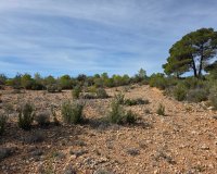 Resale - Plot / Land - Yecla