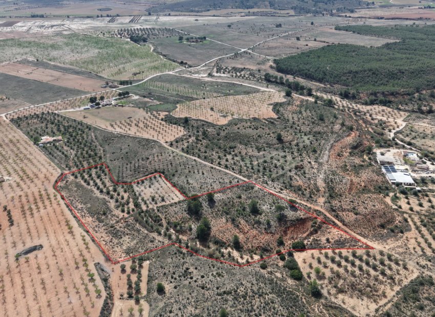 Resale - Plot / Land - Yecla