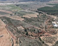 Resale - Plot / Land - Yecla