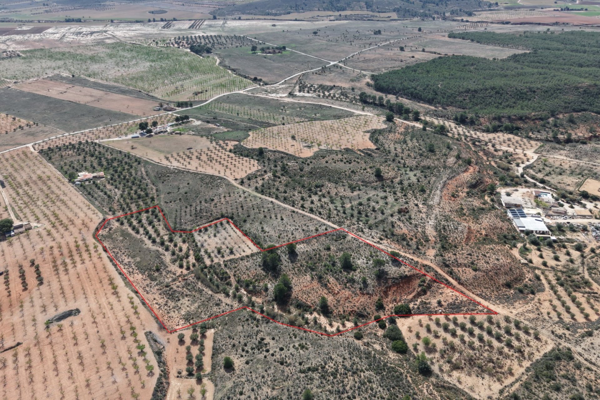 Resale - Plot / Land - Yecla