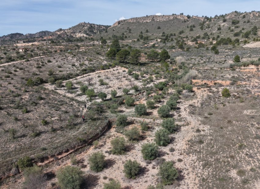 Resale - Plot / Land - Yecla