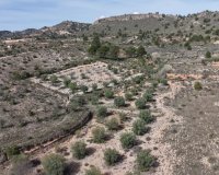 Resale - Plot / Land - Yecla