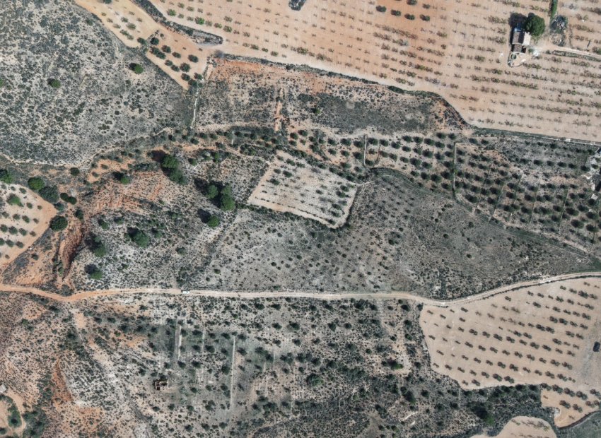 Resale - Plot / Land - Yecla