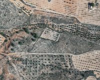 Resale - Plot / Land - Yecla
