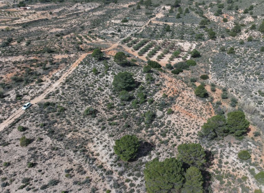 Resale - Plot / Land - Yecla