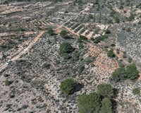 Resale - Plot / Land - Yecla