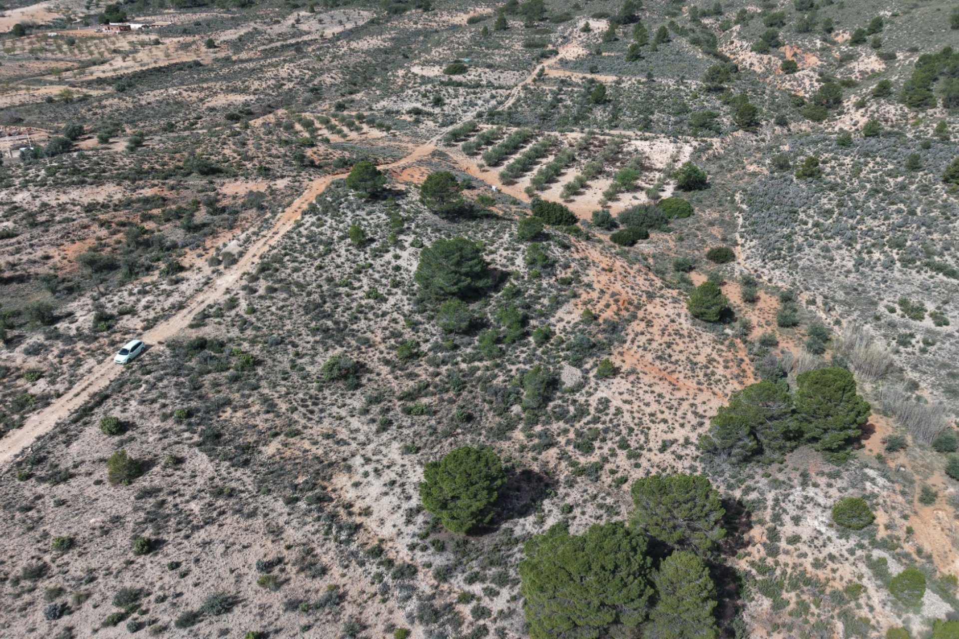 Resale - Plot / Land - Yecla