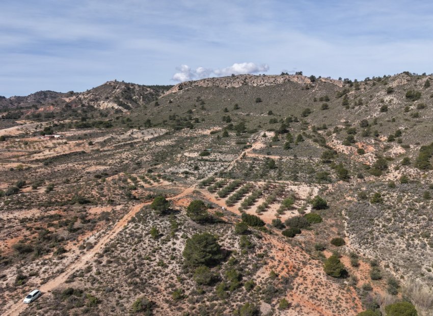 Resale - Plot / Land - Yecla