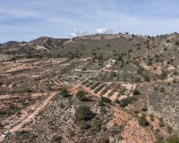 Resale - Plot / Land - Yecla