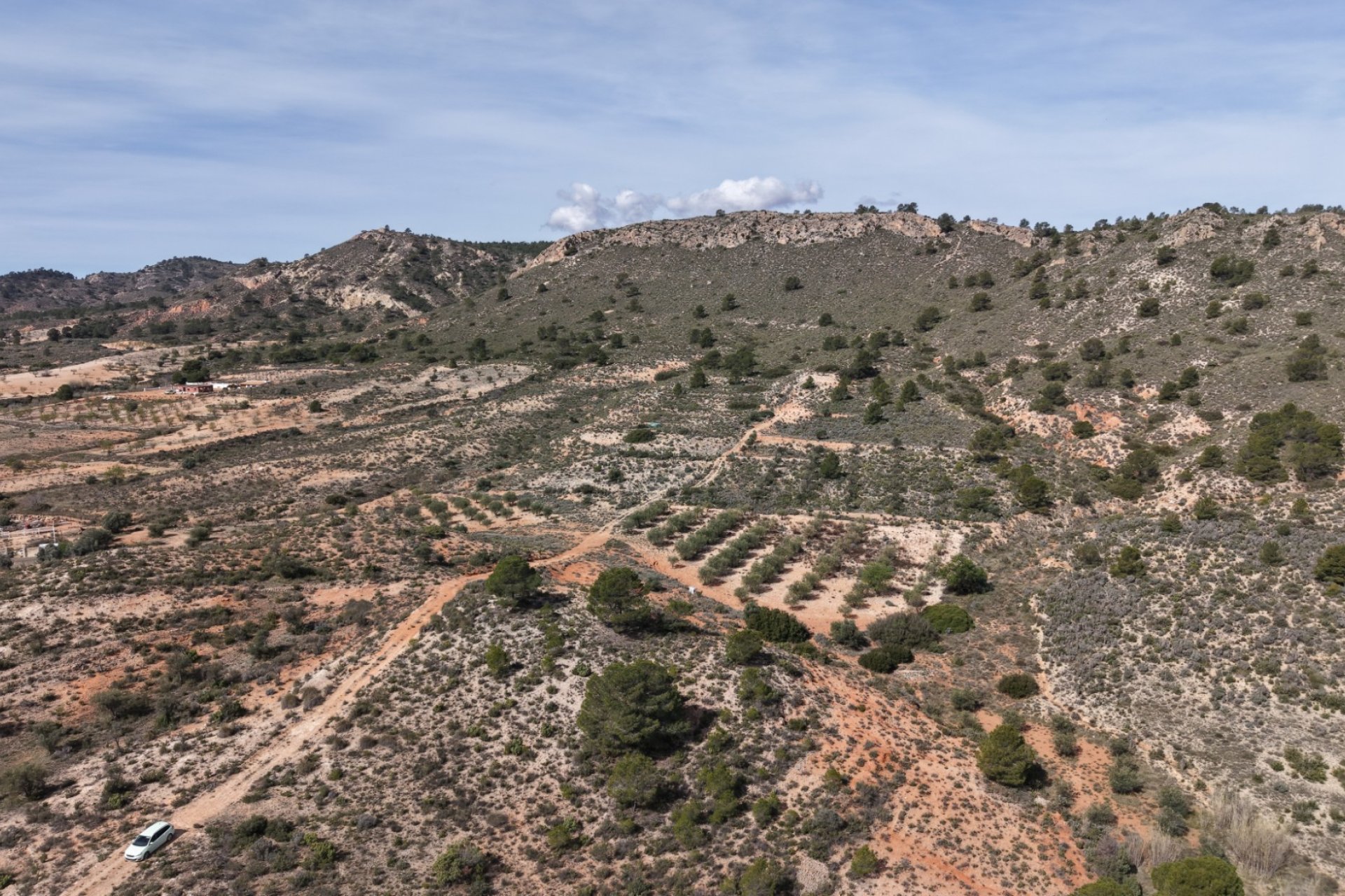 Resale - Plot / Land - Yecla