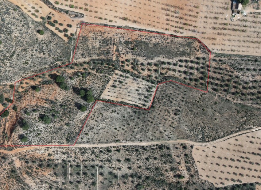 Resale - Plot / Land - Yecla