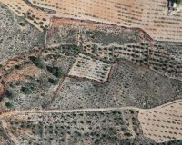 Resale - Plot / Land - Yecla