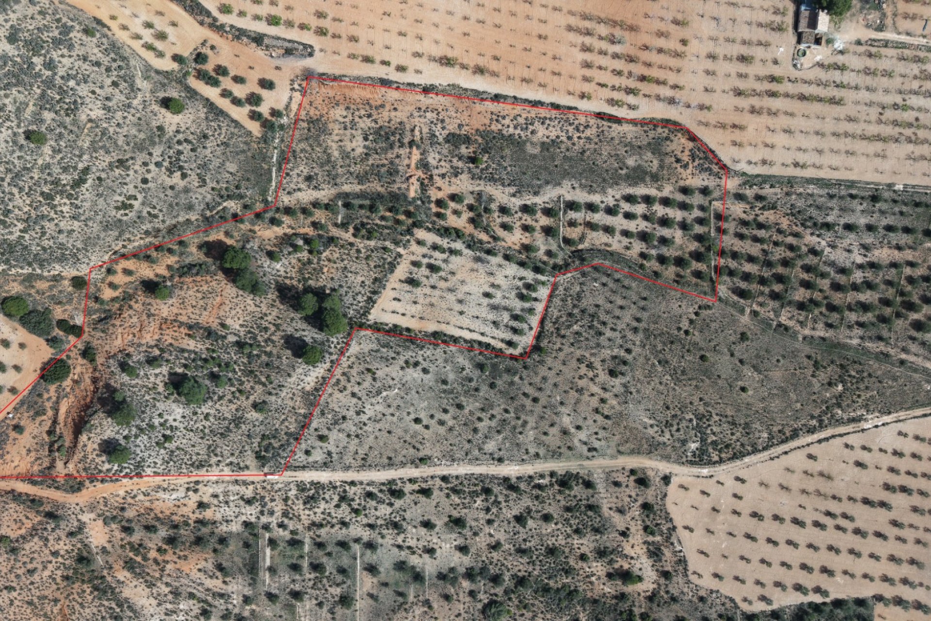 Resale - Plot / Land - Yecla