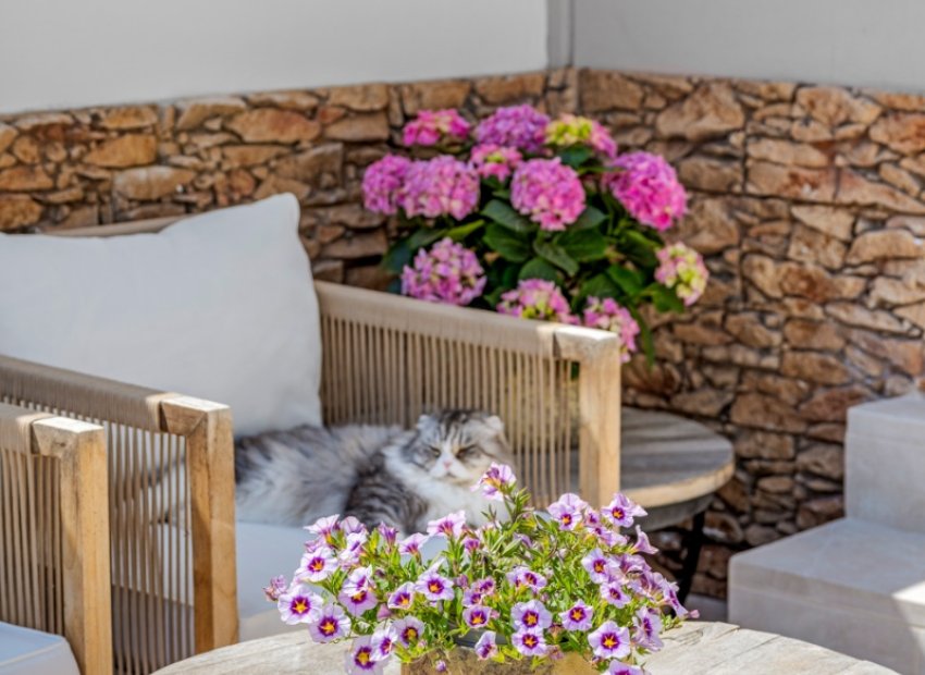 Resale - Townhouse / Duplex / Corner - Alicante - Playa San Juan