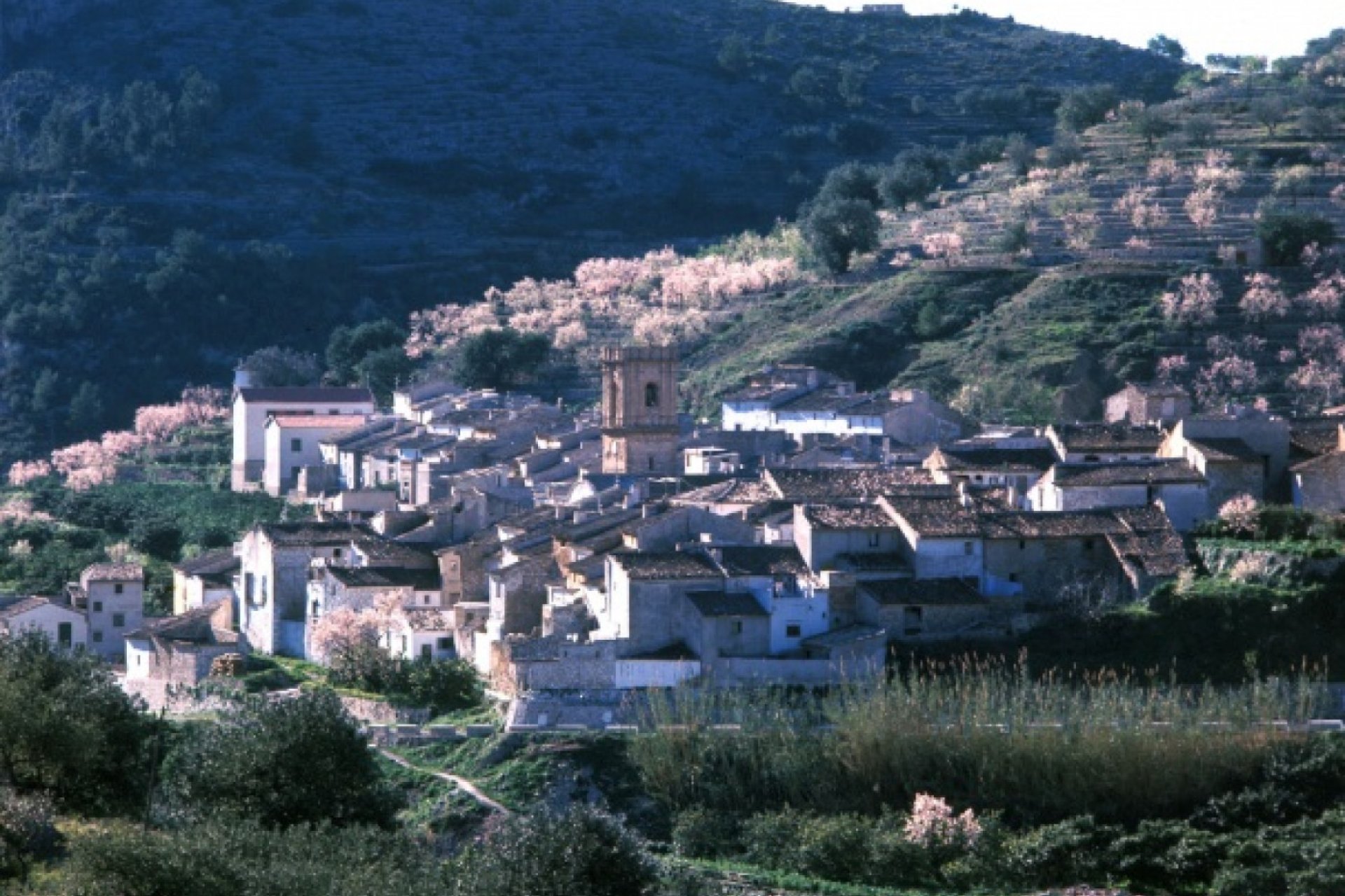 Resale - Townhouse / Duplex / Corner - Bolulla - Center