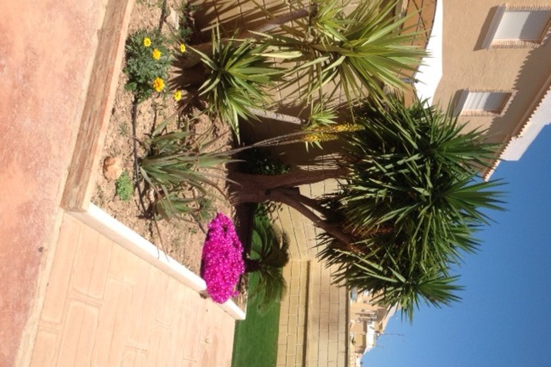 Resale - Townhouse / Duplex / Corner - Ciudad Quesada - Doña Pepa