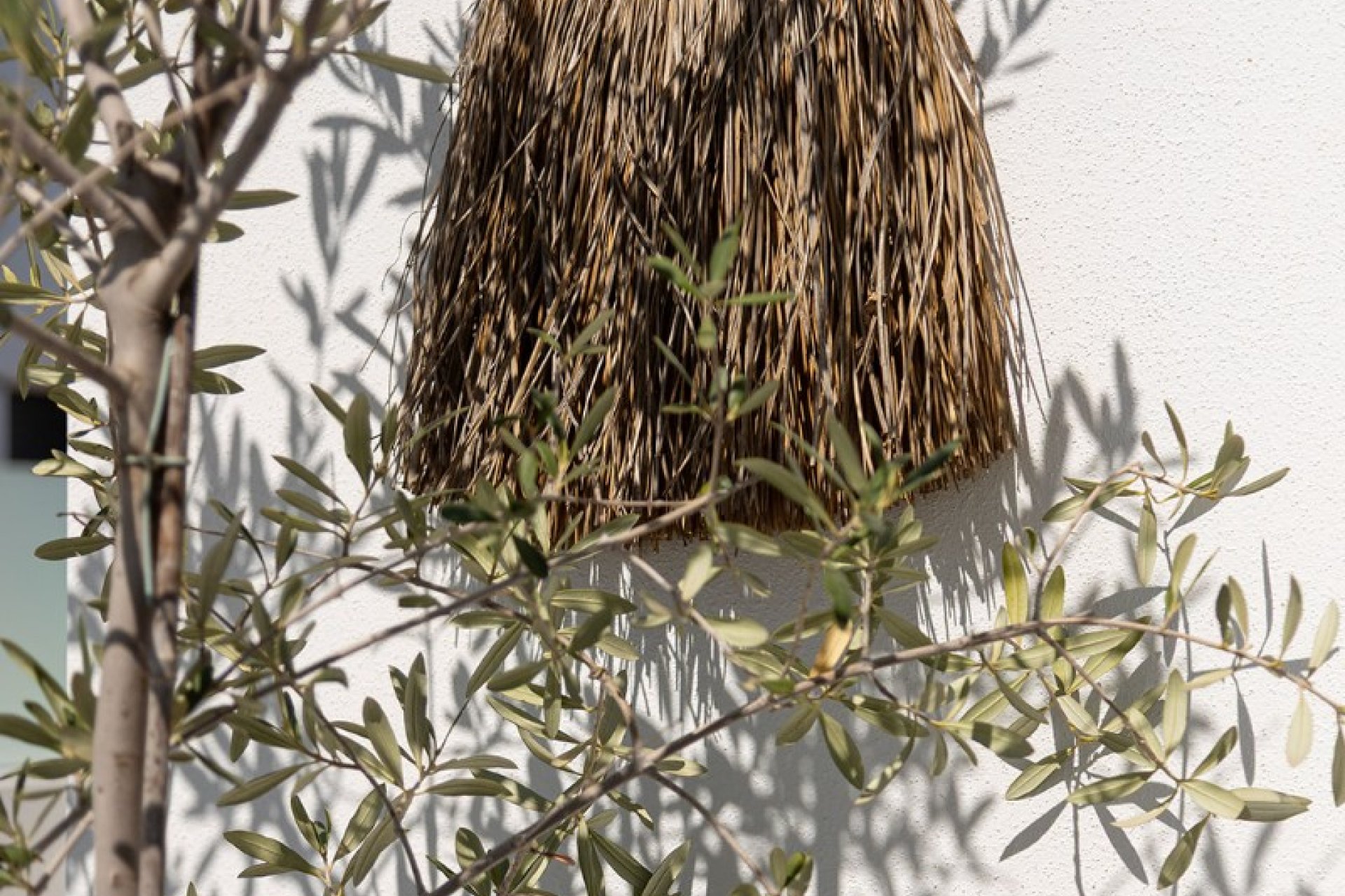 Resale - Townhouse / Duplex / Corner - Dolores