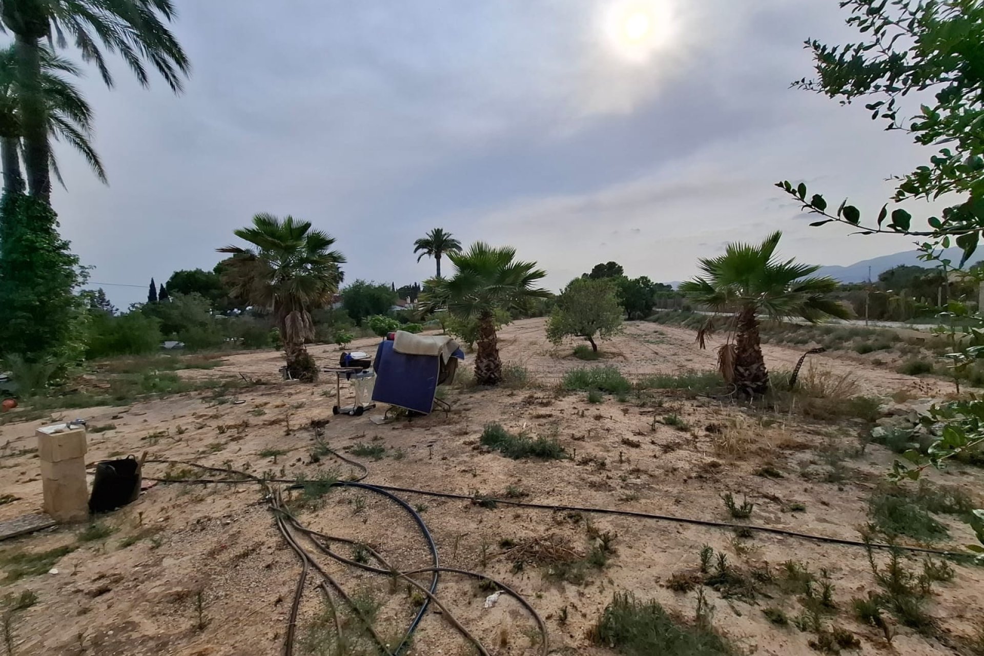 Resale - Townhouse / Duplex / Corner - Elche - Matola