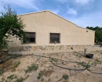 Resale - Townhouse / Duplex / Corner - Elche - Matola